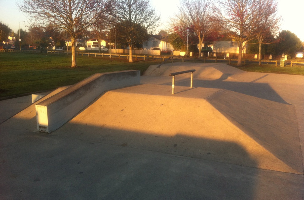 Elliot Park Skatepark 