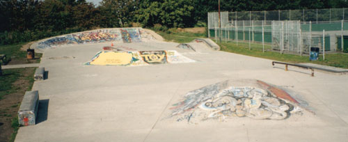 Ladner Skate Park