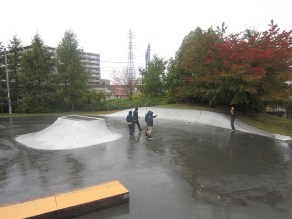 Sakudaira Park Skatepark